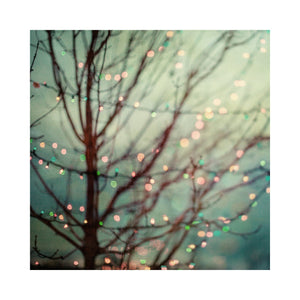 Twilight Lights