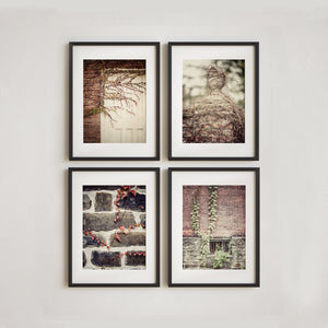 Sunset Studio Farmhouse and Rustic Decor Brick & Ivy
