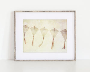 Fly a Kite