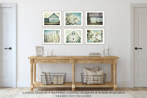 Blue Shabby Barns & Florals