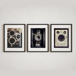 Sunset Studio Farmhouse and Rustic Decor Vintage Cameras