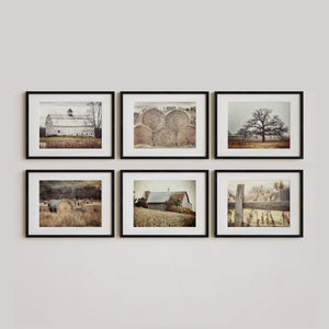 Sunset Studio Farmhouse Decor Beige and Gold Barns, Hayfield, Fence and Oak Tree