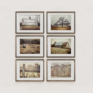 Sunset Studio Farmhouse Decor Beige and Gold Barns, Hayfield, Fence and Oak Tree
