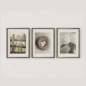 Sunset Studio Farmhouse Decor Beige Country Cottage