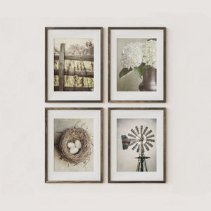 Sunset Studio Farmhouse Decor Cottage Farmhouse 4