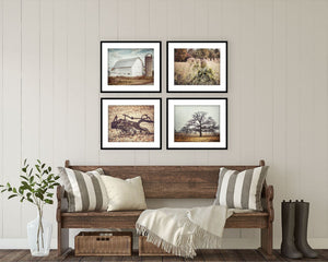 Country Farm Scenes