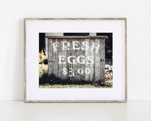 Fresh Eggs