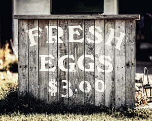Fresh Eggs