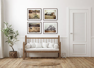 Gold and Beige Country Landscapes