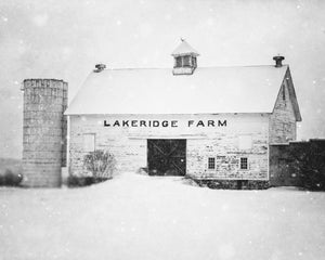 Peaceful Winter White Barn in the Snow | Black and White