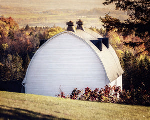 Picturesque White Barn in the Fall