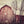 Red Barn in the Winter Landscape