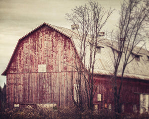 Red Barn in the Winter Landscape