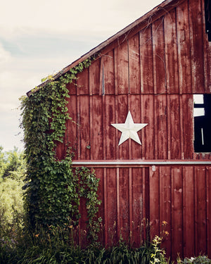 Red Barn with a Primitive White Star and Ivy