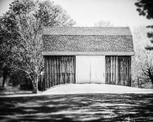 Rural Barn in the Trees in Black and White