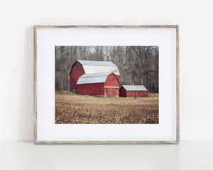 Three Red Barns