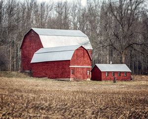 Three Red Barns