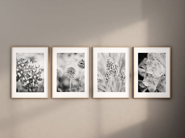 Sunset Studio Floral Photography Black and White French Country Florals | Set of 4