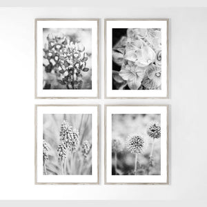 Sunset Studio Floral Photography Black and White French Country Florals | Set of 4