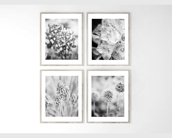 Sunset Studio Floral Photography Black and White French Country Florals | Set of 4