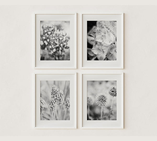 Sunset Studio Floral Photography Black and White French Country Florals | Set of 4