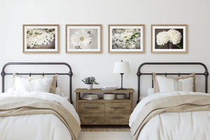 Brown & Ivory Florals