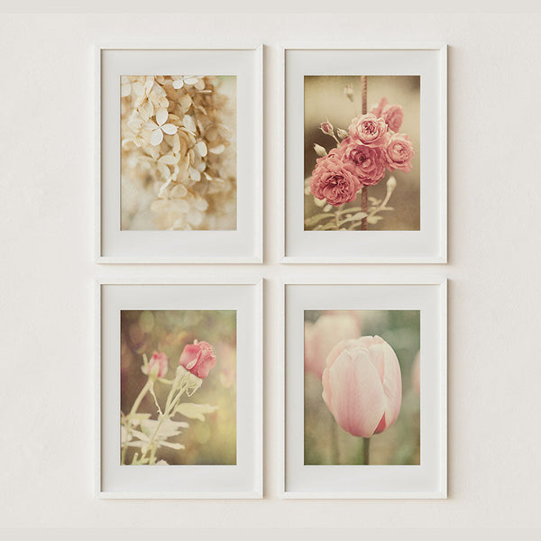 Sunset Studio Floral Photography Pink Shabby Chic Florals | Set of 4