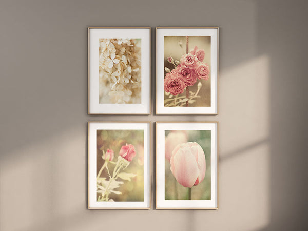 Sunset Studio Floral Photography Pink Shabby Chic Florals | Set of 4