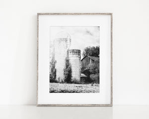 Ivy Silos