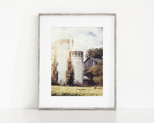 Ivy Silos