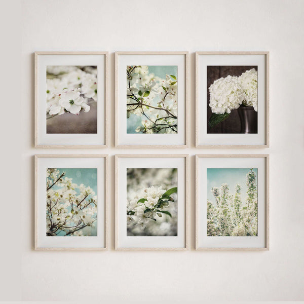 Sunset Studio Nature Photography Aqua & White Shabby Chic Flowers