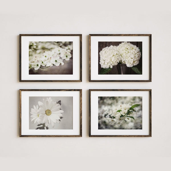 Sunset Studio Nature Photography Brown & Ivory Florals