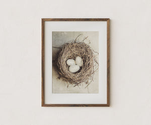 Cottage Chic Bird's Nest with Eggs