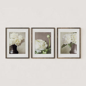 Sunset Studio Nature Photography Ivory Floral 3