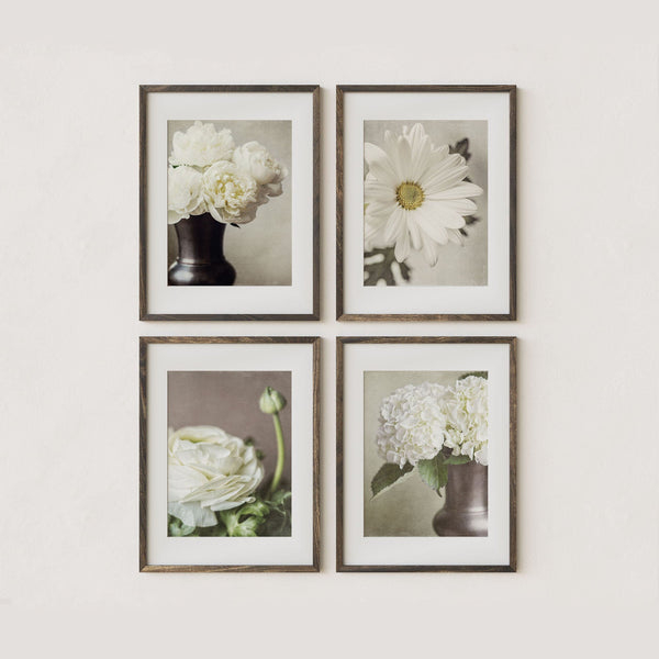 Sunset Studio Nature Photography Ivory Floral 4