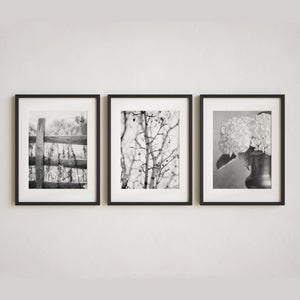Sunset Studio Nature Photography Minimalist Nature