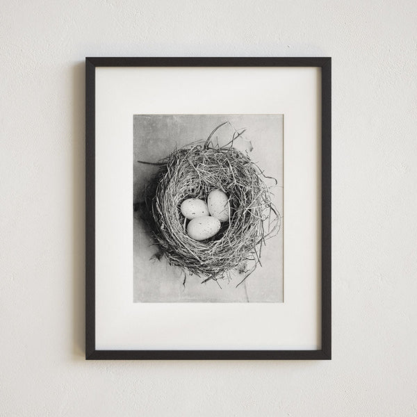 Cottage Chic Bird's Nest with Eggs