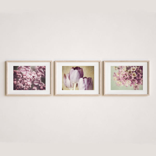 Sunset Studio Nature Photography Pink & Purple Florals II