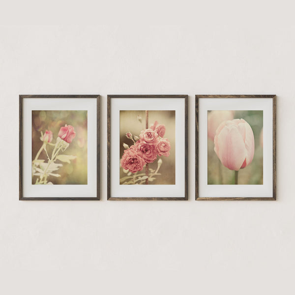 Sunset Studio Nature Photography Pink Shabby Chic Florals