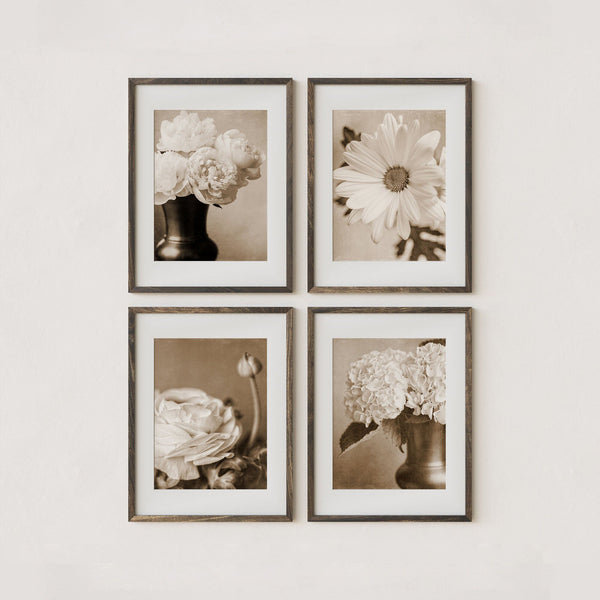 Sunset Studio Nature Photography Sepia Shabby Chic Florals