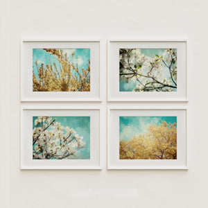 Sunset Studio Nature Photography Teal & Yellow Florals