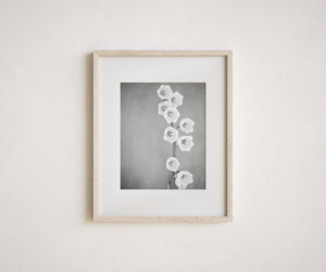 Lily of the Valley | Black and White Minimalist Art